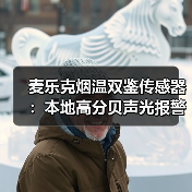 双模烟雾探测设备 智能联动提升环境安全预警-润德福屋智家网(图1)