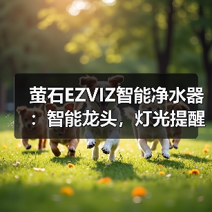 智能净水器高效过滤铅 双倍水量提升饮水效率-润德福屋智家网(图4)