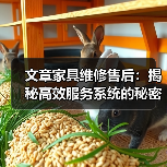 文章家具维修售后:揭秘高效服务系统的秘密(图3) 提升家居体验:家具维修售后系统如何打造高效服务-润德福屋智家网(图3)