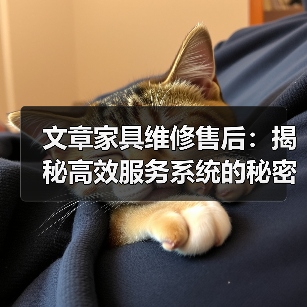 文章家具维修售后:揭秘高效服务系统的秘密(图4) 提升家居体验:家具维修售后系统如何打造高效服务-润德福屋智家网(图4)