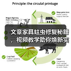 文章家具蛀虫修复秘籍,视频教学助你焕新实木家具(图3) 实木家具蛀虫修复全攻略-润德福屋智家网(图3)