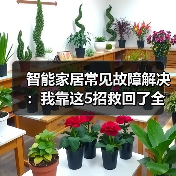 智能家居常见故障解决:我靠这5招救回了全屋设备(图3) 智能家居设备故障终极私房秘籍-润德福屋智家网(图3)