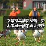 文章家具翻新秘籍:实木家具维修不求人技巧全解析(图2) 实木家具维修技巧 自主修复保养指南-润德福屋智家网(图2)