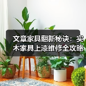 文章家具翻新秘诀:实木家具上漆维修全攻略视频教程(图2) 实木家具上漆维修全攻略:详细步骤与翻新技巧-润德福屋智家网(图2)