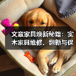文章家具焕新秘籍:实木家具维修、翻新与保养之道(图3) 实木家具维修翻新保养方法指南-润德福屋智家网(图3)