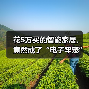 花5万买的智能家居,竟然成了“电子牢笼”?封闭生态的真相与破局(图3) 智能家居封闭生态破局指南:开放生态如何拿回控制权-润德福屋智家网(图3)