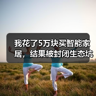 我花了5万块买智能家居,结果被封闭生态坑惨了(图3) 智能家居封闭生态陷阱:如何避免被品牌绑架?-润德福屋智家网(图3)