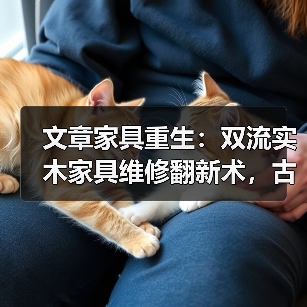 文章家具重生:双流实木家具维修翻新术,古董新颜揭秘(图3) 双流实木家具维修翻新术 古董家具焕新指南-润德福屋智家网(图3)