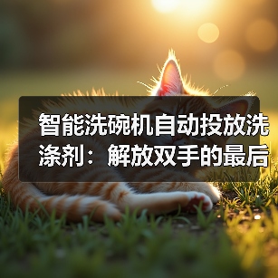智能洗碗机自动投放洗涤剂:解放双手的最后一公里,到底值不值?(图3) 智能洗碗机自动投放:精准度与省事省心的真相-润德福屋智家网(图3)