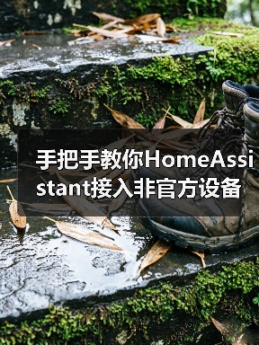 手把手教你HomeAssistant接入非官方设备：省下3000元的真实经历(图2)