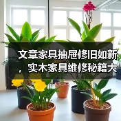 文章家具抽屉修旧如新,实木家具维修秘籍大公开(图4) 实木家具抽屉修复方法 抽屉维修技巧分享-润德福屋智家网(图4)