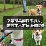 文章家具修复不求人，定西实木家具维修服务一键速达(图1)