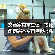 文章家具重生记:揭秘酸枝实木家具维修秘籍(图1) 酸枝实木家具维修保养全攻略-润德福屋智家网(图1)
