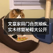 文章家具门合页顽疾,实木修复秘籍大公开(图3) 实木家具门合页修复全攻略-润德福屋智家网(图3)