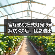 客厅影院灯光联动实测：Zigbee协议为何成首选-润德福屋智家网(图1)