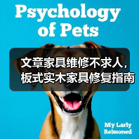 文章家具维修不求人,板式实木家具修复指南视频大公开(图2) 家具维修技巧:板式与实木常见问题修复指南-润德福屋智家网(图2)