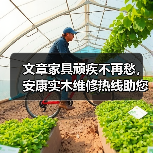 实木家具维修技巧：开裂划痕褪色问题解决全攻略-润德福屋智家网(图4)