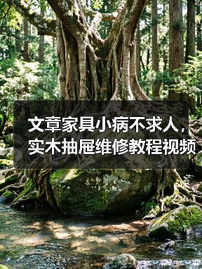 实木抽屉修复技巧 滑轨滑轮更换与裂缝修补-润德福屋智家网(图3)