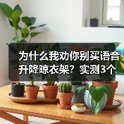 为什么我劝你别买语音升降晾衣架?实测3个月,这5个坑让你崩溃(图2) 为什么我劝你别买语音升降晾衣架?实测3个月,这5个坑让你崩溃(图2)