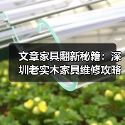 文章家具翻新秘籍:深圳老实木家具维修攻略大公开(图3) 文章家具翻新秘籍:深圳老实木家具维修攻略大公开(图3)