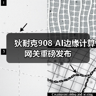 狄耐克908边缘计算网关：高算力人脸识别人工智能应用-润德福屋智家网(图1)