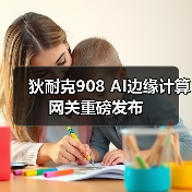 狄耐克908边缘计算网关：高算力人脸识别人工智能应用-润德福屋智家网(图4)