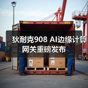 狄耐克908边缘计算网关：高算力人脸识别人工智能应用-润德福屋智家网(图3)