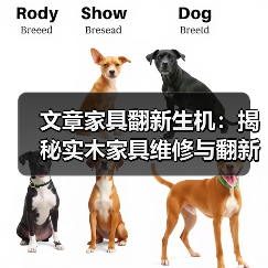 文章家具翻新生机:揭秘实木家具维修与翻新材料全攻略(图2) 实木家具翻新怎么处理?实用维修翻新指南-润德福屋智家网(图2)