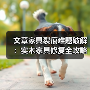 文章家具裂痕难题破解:实木家具修复全攻略揭秘(图4) 文章家具裂痕难题破解:实木家具修复全攻略揭秘(图4)