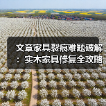 文章家具裂痕难题破解:实木家具修复全攻略揭秘(图2) 文章家具裂痕难题破解:实木家具修复全攻略揭秘(图2)