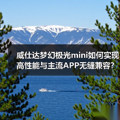 威仕达梦幻极光mini如何实现高性能与主流APP无缝兼容？(图3)