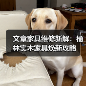 文章家具维修新解:榆林实木家具焕新攻略(图1) 文章家具维修新解:榆林实木家具焕新攻略(图1)