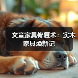 文章家具修复术：实木家具焕新记(图2)