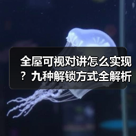 全屋可视对讲怎么实现？九种解锁方式全解析(图2)