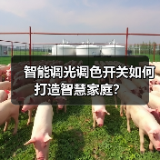 智能调光调色开关如何打造智慧家庭?(图1) 智能生活真能面面俱到?M3 Smart多合一开关全解析-耀途润德福屋智家网(图1)
