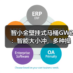智小金壁挂式马桶GW2:智能大小冲,多种操作模式(图3) 智能马桶怎么选?这款42项检测通过的型号值得入手吗-耀途润德福屋智家网(图3)