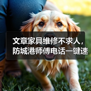 防城港家具维修不求人？一键速达如何轻松搞定？-耀途润德福屋智家网(图3)