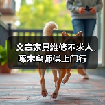 文章家具维修不求人,啄木鸟师傅上门行(图4) 文章家具维修不求人,啄木鸟师傅上门行(图4)