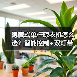 隐藏式单杆晾衣机怎么选?智能控制+双灯带设计(图2) 隐藏式单杆晾衣机怎么选?智能控制+双灯带设计(图2)