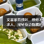 文章家具损坏，维修不求人，揭秘身边隐藏的维修高手