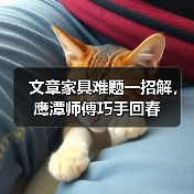 文章家具难题一招解，鹰潭师傅巧手回春(图4)