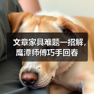 文章家具难题一招解，鹰潭师傅巧手回春(图2)