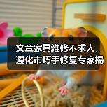 文章家具维修不求人，遵化市巧手修复专家揭秘