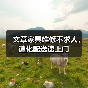 文章家具维修不求人，遵化配送速上门(图3)