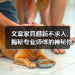 文章家具翻新不求人，揭秘专业师傅的神秘技能(图4)